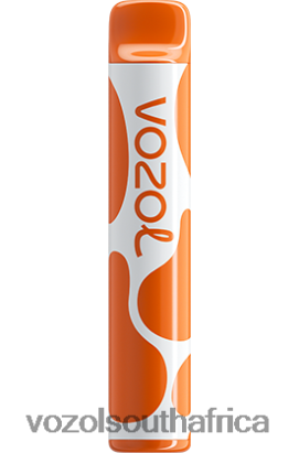 Vozol Vape Flavours - VOZOL JOYGO 600 MANGO ICE 68R6VZ386