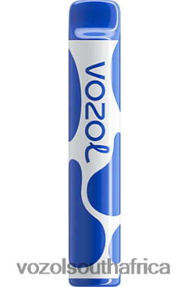 Vozol Vape Sale - VOZOL JOYGO 600 BLUEBERRY STORM 68R6VZ390