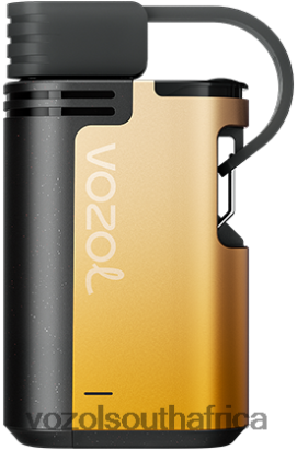 Vozol Vape Flavours - VOZOL GEAR 4000C/6000 KIWI PASSION FRUIT GUAVA 68R6VZ326