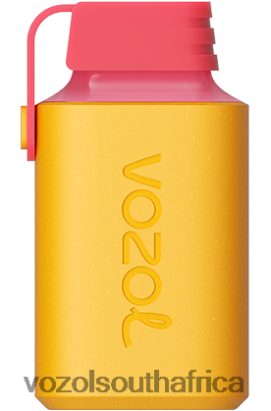 Vozol South Africa - VOZOL GEAR 600 KIWI PASSION FRUIT GUAVA 68R6VZ351