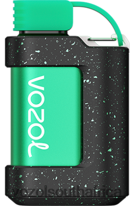 Vozol Cape Town - VOZOL GEAR 7000 WATERMELON ICE 68R6VZ344