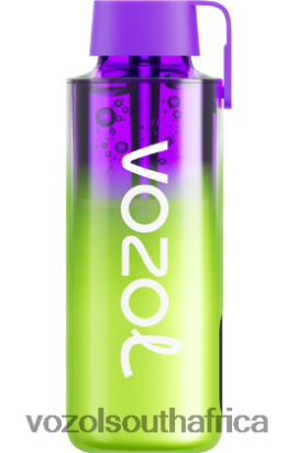 Vozol South Africa - VOZOL NEON 10000 WATERMELON ICE 68R6VZ241