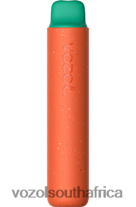 Vozol Vape South Africa - VOZOL STAR 2000 RASPBERRY WATERMELON 68R6VZ163