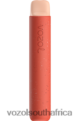 Vozol Vape Cape Town - VOZOL STAR 600 STRAWBERRY ICE CREAM 68R6VZ95