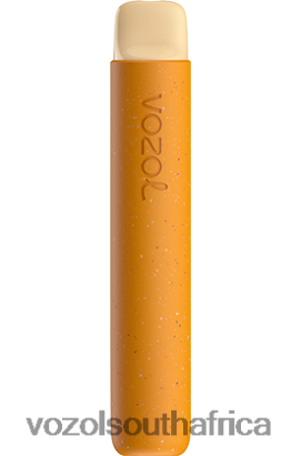 Vozol Vape Price - VOZOL STAR 600 ICED MANGO 68R6VZ82