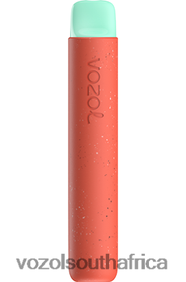 Vozol Vape South Africa - VOZOL STAR 600 STRAWBERRY APPLE 68R6VZ93