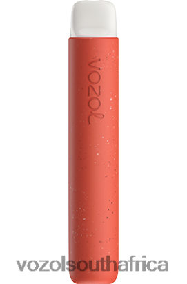 Vozol Vape Store - VOZOL STAR 600 CRANBERRY LEMON ICE 68R6VZ78