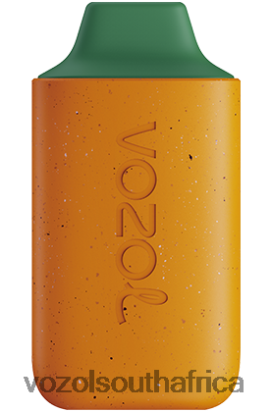 Vozol Vape Sale - VOZOL STAR 6000 MANGO PEACH WATERMELON 68R6VZ120