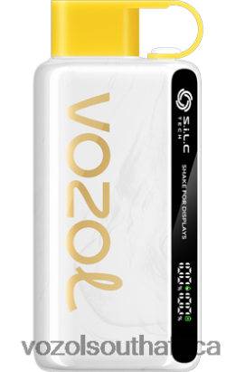 Vozol Vape Flavours - VOZOL STAR 9000/12000 PINEAPPLE COCONUT ICE 68R6VZ46