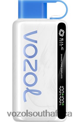 Vozol Vape Price - VOZOL STAR 9000/12000 BLUEBERRY STORM 68R6VZ22