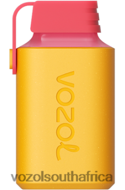 Vozol South Africa - VOZOL GEAR 600 KIWI PASSION FRUIT GUAVA 68R6VZ351