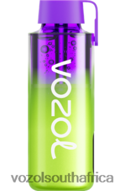 Vozol South Africa - VOZOL NEON 10000 WATERMELON ICE 68R6VZ241