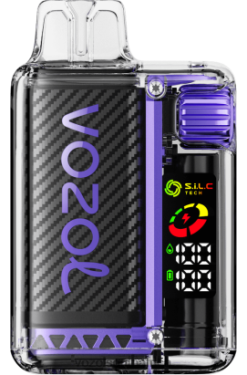 Vozol Vape Cape Town - VOZOL VISTA 16000/20000 GRAPE ICE 68R6VZ5