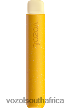 Vozol Vape Flavours - VOZOL STAR 600 LEMON PASSION FRUIT 68R6VZ86