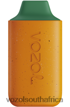 Vozol Vape Sale - VOZOL STAR 6000 MANGO PEACH WATERMELON 68R6VZ120