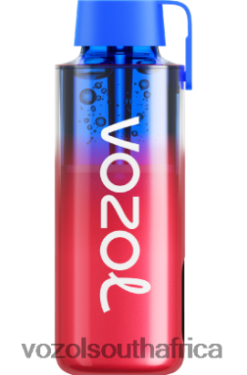 Vozol Vape South Africa - VOZOL NEON 10000 BLUEBERRY ICE 68R6VZ243