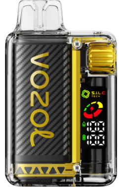 Vozol Vape Store - VOZOL VISTA 16000/20000 MANGO ICE 68R6VZ8